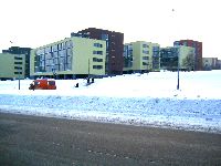Didlaukio
